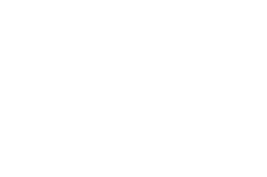 This image has an empty alt attribute; its file name is BEST-DOCUMENTARY-SHORT-Boston-Indie-Film-Festival-2024-copy-300x199.png